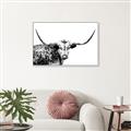 Picture of Jackson, The Bull  _GroupedProduct_Rectangle_Landscape_Photography _GroupedProduct_Rectangle_Landscape_Canvas_Framed_