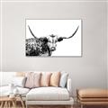 Picture of Jackson, The Bull  _GroupedProduct_Rectangle_Landscape_Photography _GroupedProduct_Rectangle_Landscape_Canvas_Framed_