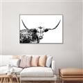 Picture of Jackson, The Bull  _GroupedProduct_Rectangle_Landscape_Photography _GroupedProduct_Rectangle_Landscape_Canvas_Framed_