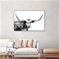 Picture of Jackson, The Bull  _GroupedProduct_Rectangle_Landscape_Photography _GroupedProduct_Rectangle_Landscape_Canvas_Framed_
