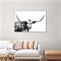 Picture of Jackson, The Bull  _GroupedProduct_Rectangle_Landscape_Photography _GroupedProduct_Rectangle_Landscape_Canvas_Framed_