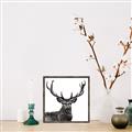 Picture of James, the Stag  _GroupedProduct_Square_Photography _GroupedProduct_Square_Canvas_Framed_