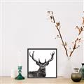 Picture of James, the Stag  _GroupedProduct_Square_Photography _GroupedProduct_Square_Canvas_Framed_