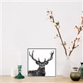 Picture of James, the Stag  _GroupedProduct_Square_Photography _GroupedProduct_Square_Canvas_Framed_