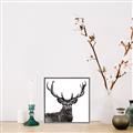 Picture of James, the Stag  _GroupedProduct_Square_Photography _GroupedProduct_Square_Canvas_Framed_