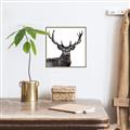 Picture of James, the Stag  _GroupedProduct_Square_Photography _GroupedProduct_Square_Canvas_Framed_