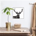 Picture of James, the Stag  _GroupedProduct_Square_Photography _GroupedProduct_Square_Canvas_Framed_