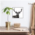 Picture of James, the Stag  _GroupedProduct_Square_Photography _GroupedProduct_Square_Canvas_Framed_