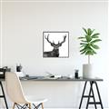 Picture of James, the Stag  _GroupedProduct_Square_Photography _GroupedProduct_Square_Canvas_Framed_