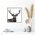 Picture of James, the Stag  _GroupedProduct_Square_Photography _GroupedProduct_Square_Canvas_Framed_