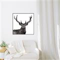 Picture of James, the Stag  _GroupedProduct_Square_Photography _GroupedProduct_Square_Canvas_Framed_