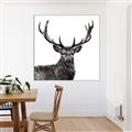 Picture of James, the Stag  _GroupedProduct_Square_Photography _GroupedProduct_Square_Canvas_Framed_