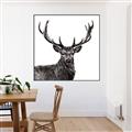 Picture of James, the Stag  _GroupedProduct_Square_Photography _GroupedProduct_Square_Canvas_Framed_