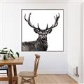 Picture of James, the Stag  _GroupedProduct_Square_Photography _GroupedProduct_Square_Canvas_Framed_