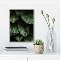 Picture of Jungle Leaves  _GroupedProduct_Rectangle_Portrait_Photography _GroupedProduct_Rectangle_Portrait_Canvas_Framed_