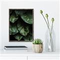 Picture of Jungle Leaves  _GroupedProduct_Rectangle_Portrait_Photography _GroupedProduct_Rectangle_Portrait_Canvas_Framed_