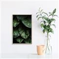 Picture of Jungle Leaves  _GroupedProduct_Rectangle_Portrait_Photography _GroupedProduct_Rectangle_Portrait_Canvas_Framed_