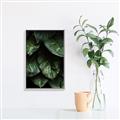 Picture of Jungle Leaves  _GroupedProduct_Rectangle_Portrait_Photography _GroupedProduct_Rectangle_Portrait_Canvas_Framed_