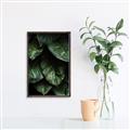 Picture of Jungle Leaves  _GroupedProduct_Rectangle_Portrait_Photography _GroupedProduct_Rectangle_Portrait_Canvas_Framed_