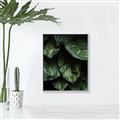 Picture of Jungle Leaves  _GroupedProduct_Rectangle_Portrait_Photography _GroupedProduct_Rectangle_Portrait_Canvas_Framed_