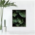Picture of Jungle Leaves  _GroupedProduct_Rectangle_Portrait_Photography _GroupedProduct_Rectangle_Portrait_Canvas_Framed_