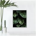 Picture of Jungle Leaves  _GroupedProduct_Rectangle_Portrait_Photography _GroupedProduct_Rectangle_Portrait_Canvas_Framed_