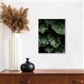 Picture of Jungle Leaves  _GroupedProduct_Rectangle_Portrait_Photography _GroupedProduct_Rectangle_Portrait_Canvas_Framed_