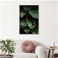 Picture of Jungle Leaves  _GroupedProduct_Rectangle_Portrait_Photography _GroupedProduct_Rectangle_Portrait_Canvas_Framed_