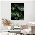 Picture of Jungle Leaves  _GroupedProduct_Rectangle_Portrait_Photography _GroupedProduct_Rectangle_Portrait_Canvas_Framed_