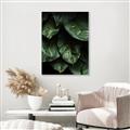 Picture of Jungle Leaves  _GroupedProduct_Rectangle_Portrait_Photography _GroupedProduct_Rectangle_Portrait_Canvas_Framed_