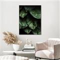 Picture of Jungle Leaves  _GroupedProduct_Rectangle_Portrait_Photography _GroupedProduct_Rectangle_Portrait_Canvas_Framed_
