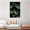 Picture of Jungle Leaves  _GroupedProduct_Rectangle_Portrait_Photography _GroupedProduct_Rectangle_Portrait_Canvas_Framed_