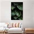 Picture of Jungle Leaves  _GroupedProduct_Rectangle_Portrait_Photography _GroupedProduct_Rectangle_Portrait_Canvas_Framed_