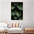 Picture of Jungle Leaves  _GroupedProduct_Rectangle_Portrait_Photography _GroupedProduct_Rectangle_Portrait_Canvas_Framed_