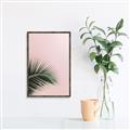 Picture of Leaves on Pink _GroupedProduct_Rectangle_Portrait_Photography _GroupedProduct_Rectangle_Portrait_Canvas_Framed_