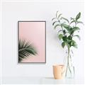 Picture of Leaves on Pink _GroupedProduct_Rectangle_Portrait_Photography _GroupedProduct_Rectangle_Portrait_Canvas_Framed_