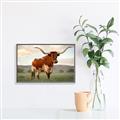 Picture of Life of a Bull _GroupedProduct_Rectangle_Landscape_Photography _GroupedProduct_Rectangle_Landscape_Canvas_Framed_