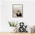 Picture of Lion Stare _GroupedProduct_Rectangle_Portrait_Photography _GroupedProduct_Rectangle_Portrait_Canvas_Framed_