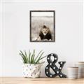 Picture of Lion Stare _GroupedProduct_Rectangle_Portrait_Photography _GroupedProduct_Rectangle_Portrait_Canvas_Framed_
