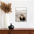 Picture of Lion Stare _GroupedProduct_Rectangle_Portrait_Photography _GroupedProduct_Rectangle_Portrait_Canvas_Framed_