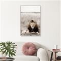 Picture of Lion Stare _GroupedProduct_Rectangle_Portrait_Photography _GroupedProduct_Rectangle_Portrait_Canvas_Framed_