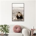 Picture of Lion Stare _GroupedProduct_Rectangle_Portrait_Photography _GroupedProduct_Rectangle_Portrait_Canvas_Framed_