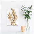 Picture of Dried Eucalyptus   _GroupedProduct_Rectangle_Portrait_Photography _GroupedProduct_Rectangle_Portrait_Unframed_Print_Only_