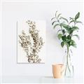 Picture of Dried Eucalyptus   _GroupedProduct_Rectangle_Portrait_Photography _GroupedProduct_Rectangle_Portrait_Unframed_Print_Only_