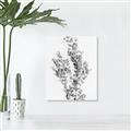 Picture of Dried Eucalyptus   _GroupedProduct_Rectangle_Portrait_Photography _GroupedProduct_Rectangle_Portrait_Unframed_Print_Only_