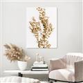 Picture of Dried Eucalyptus   _GroupedProduct_Rectangle_Portrait_Photography _GroupedProduct_Rectangle_Portrait_Unframed_Print_Only_