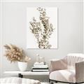 Picture of Dried Eucalyptus   _GroupedProduct_Rectangle_Portrait_Photography _GroupedProduct_Rectangle_Portrait_Unframed_Print_Only_