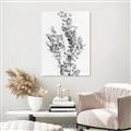 Picture of Dried Eucalyptus   _GroupedProduct_Rectangle_Portrait_Photography _GroupedProduct_Rectangle_Portrait_Unframed_Print_Only_