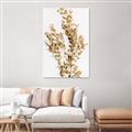 Picture of Dried Eucalyptus   _GroupedProduct_Rectangle_Portrait_Photography _GroupedProduct_Rectangle_Portrait_Unframed_Print_Only_