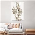 Picture of Dried Eucalyptus   _GroupedProduct_Rectangle_Portrait_Photography _GroupedProduct_Rectangle_Portrait_Unframed_Print_Only_